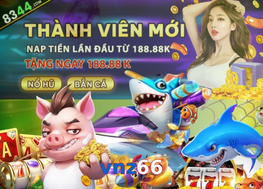 vnz66